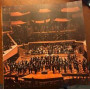 L'emozione della sinfonia