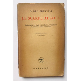 Le scarpe al sole