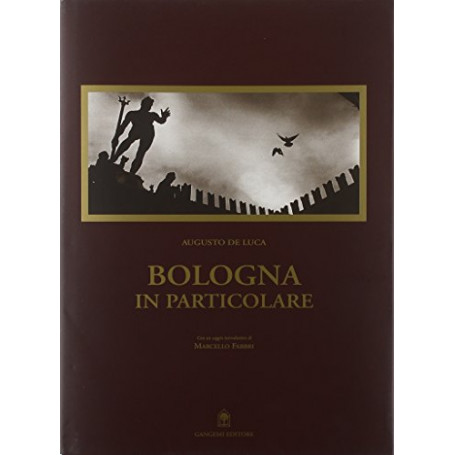 Bologna in particolare