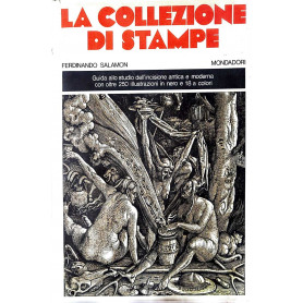 La collezione di stampe