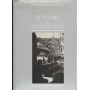 Il Tevere E I Suoi Ponti