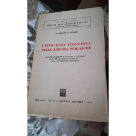l'efficienza economica nelle aziende pubbliche