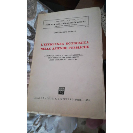 l'efficienza economica nelle aziende pubbliche