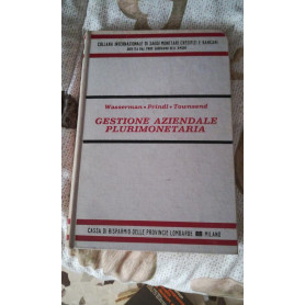 GESTIONE AZIENDALE PLURIMONETARIA.