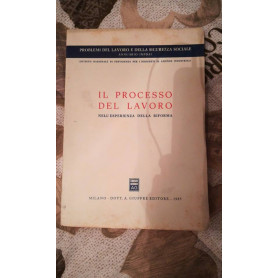 il processo del lavoro nell'esperienza della riforma