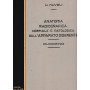 Anatomia Radiografica normale e patologica dell'apparato digerente - Duodeno