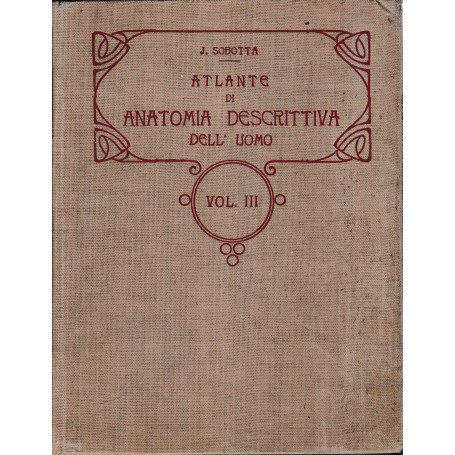 Atlante di Anatomia Descrittiva del'Uomo 3° vol.