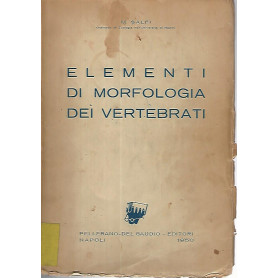 Elementi di morfologia dei vertebrati