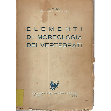 Elementi di morfologia dei vertebrati