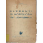 Elementi di morfologia dei vertebrati