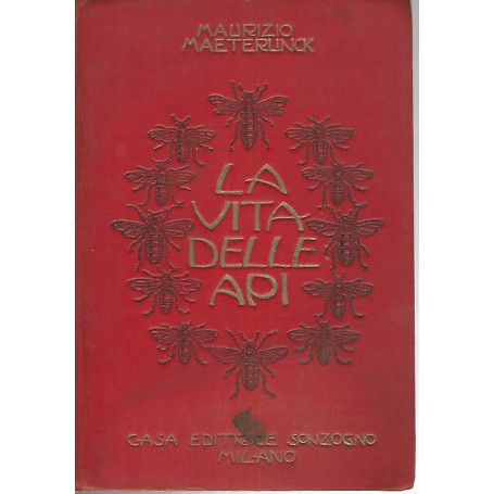 La vita delle api