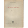 L'adozione speciale