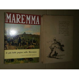 maremma