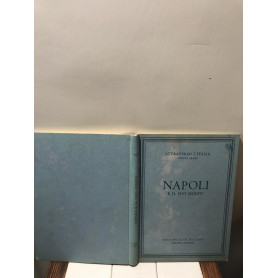 Napoli e il suo golfo
