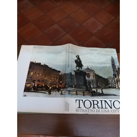 Torino ritratto di una citta'