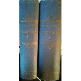 Istituzioni di diritto civile. I. II.
