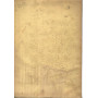 Handbuch der planzenkrankheiten