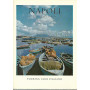 Napoli e il suo golfo