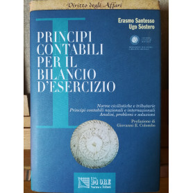 Principi contabile per il bilancio d'esercizio. Norme civilistiche e tributarie. Principi contabile. Analisi e soluzioni.