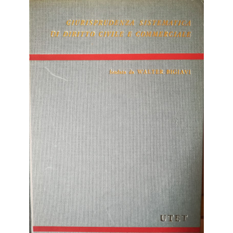 L'engineering. La joit venture. I contratti di informatica. I contratti atipici di garanzia.
