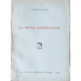 La nuova costituzione