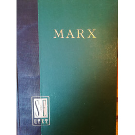 Il capitale. Critica dell'economia politica. Libro primo.