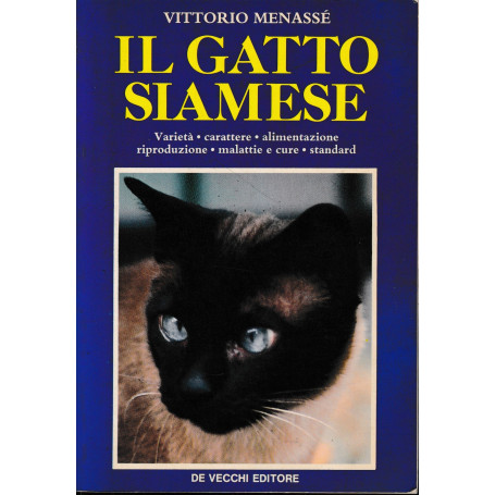 Il Gatto Siamese