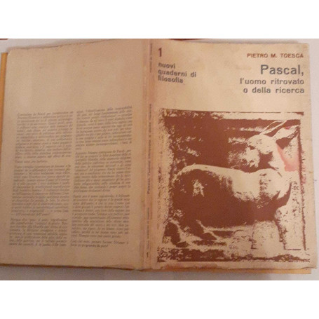 Pascal