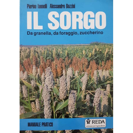 Il sorgo. Da granella