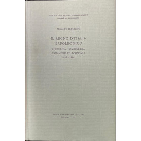 IL REGNO D'ITALIA NAPOLEONICO. SIDERURGIA
