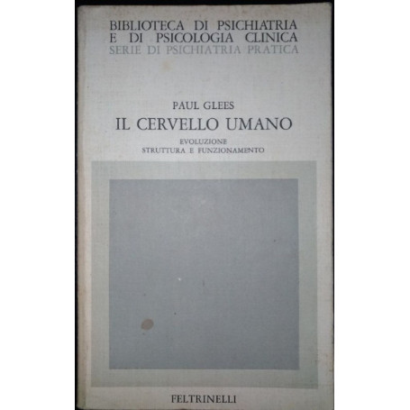 Il cervello umano. Evoluzione