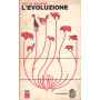 L' evoluzione