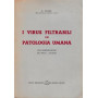 Virus filtrabili in patologia umana