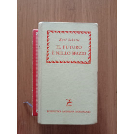 Il futuro è nello spazio