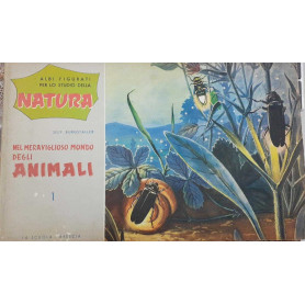 Albi figurati per lo studio della natura. Nel meraviglioso mondo degli animali . 1