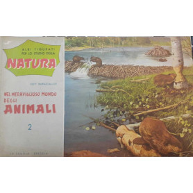 Albi figurati per lo studio della natura. Nel meraviglioso mondo degli animali. 2
