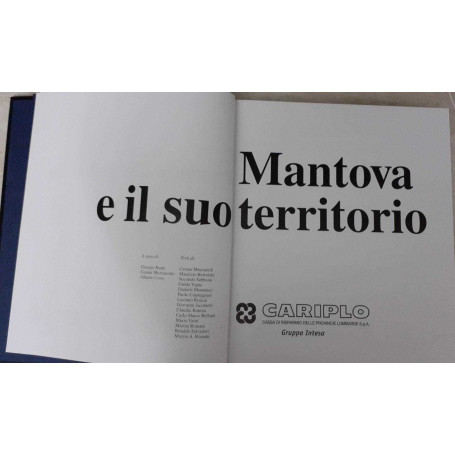 Mantova e il suo territorio