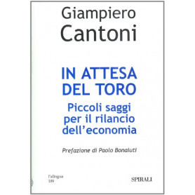 In attesa del toro. Piccoli saggi per il rilancio dell'economia