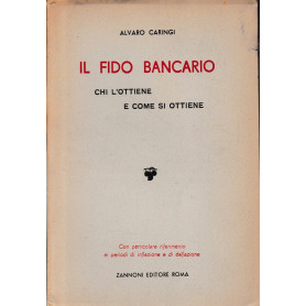 Il fido bancario