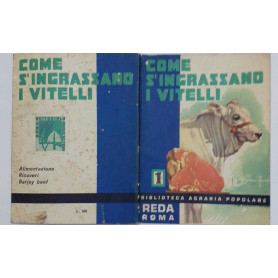 Come s'ingrassano i vitelli