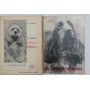 Il Cocker Spaniel. Origini