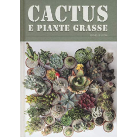 Cactus e piante grasse