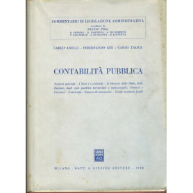 Contabilità  pubblica