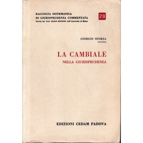 Raccolta sistematica di giurisprudenza commentata