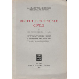 Diritto Processuale Civile