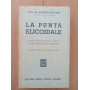 La punta elicodale