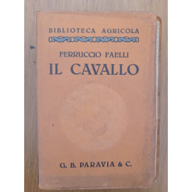 Il cavallo