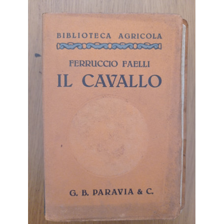 Il cavallo