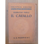 Il cavallo