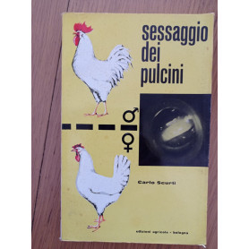 Sessaggio dei pulcini